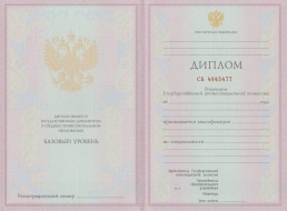Колледж с 2003 по 2006 год