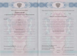 Техникум с 2011 по 2013 год